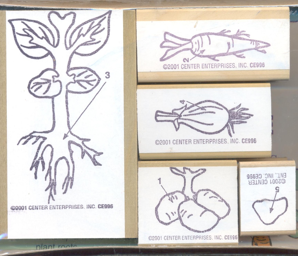 Lifecycle Stamp Set, Plant Roots Stamp