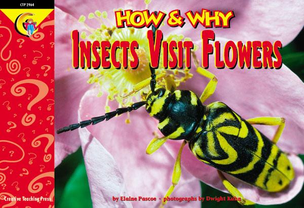 Insects Visit Flowers (NF) (GR:1-4)(GRL-P)