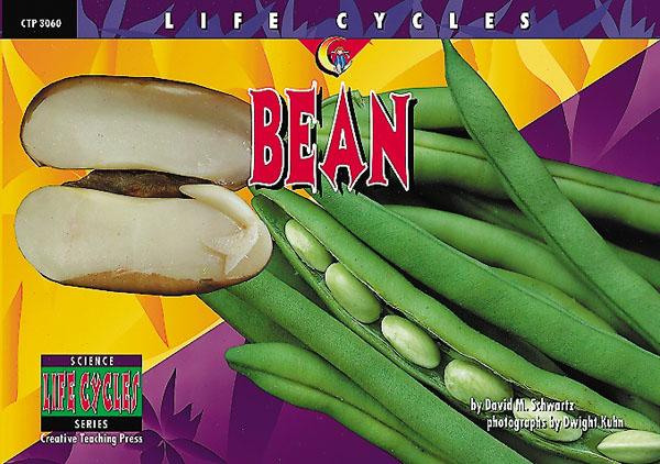 LIFE CYCLES Bean (NF) (GR:1-4)(GRL-O)