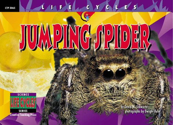 LIFE CYCLES Jumping Spider (NF) (GR:1-4)(GRL-O)