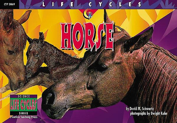 LIFE CYCLES Horse (NF) (GR:1-4)(GRL-O)