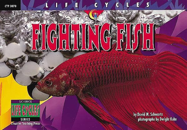 LIFE CYCLES Fighting Fish (NF) (GR:1-4)(GRL-Q)