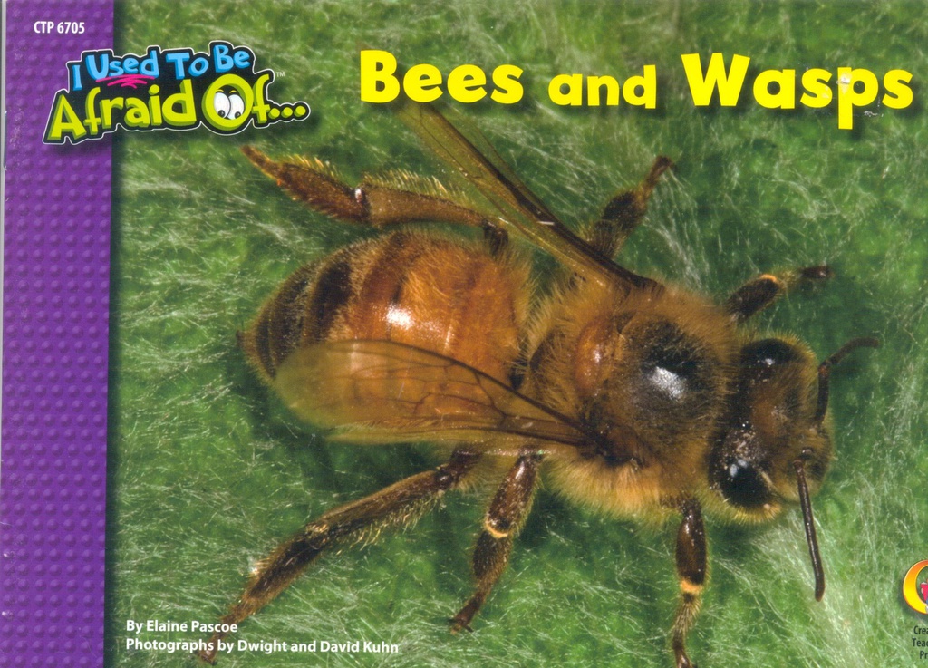 Bees and Wasps, I Used To Be Afraid Of (NF) (GR:1-3)