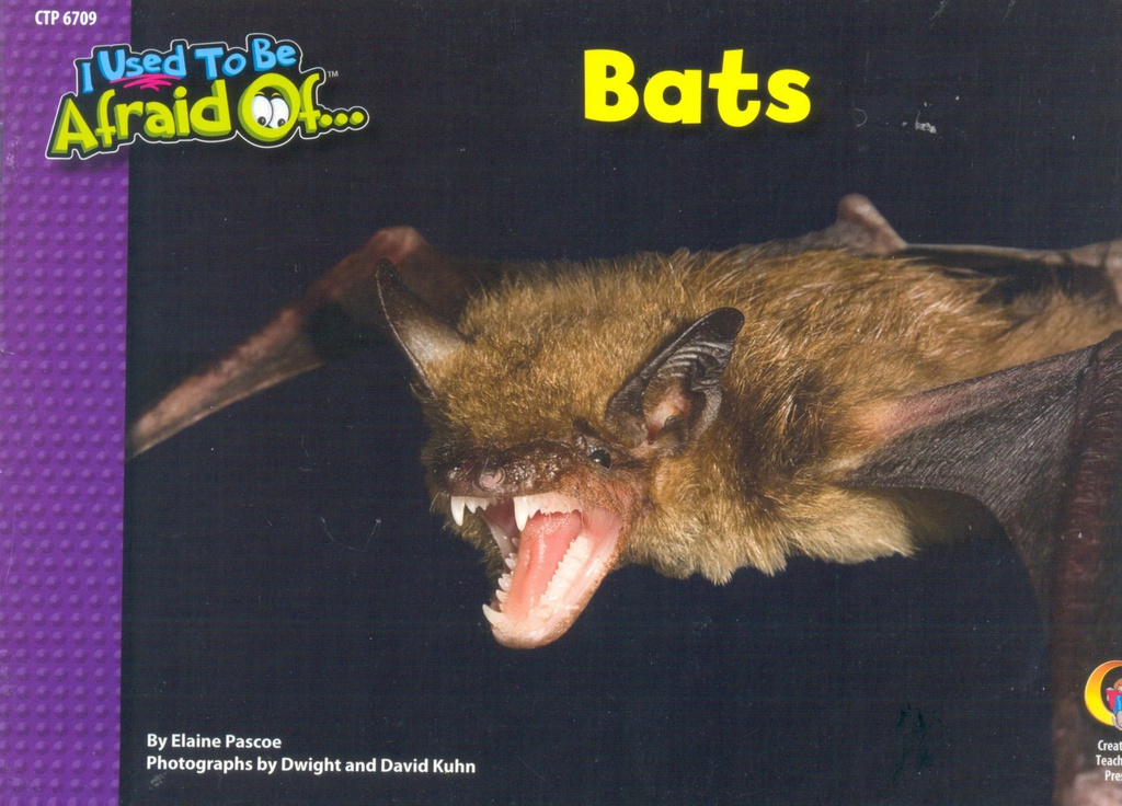 Bats, I Used To Be Afraid Of (NF) (GR:1-3)