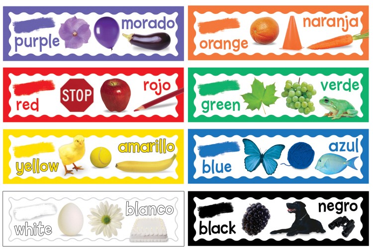 COLORS MINI BULLETIN BOARD SET  (6.5''x26&quot;)(16.5cmx66.04cm)