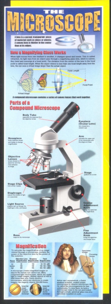 The Microscope Colossal Poster Middle / Upper Grades BB Set (5.5ft (167.6cm)  (1pc)