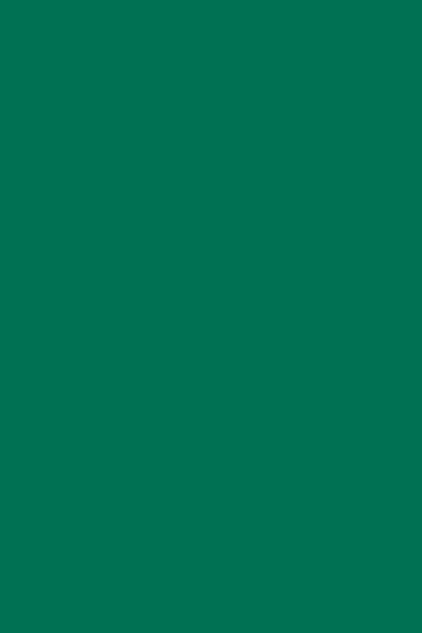 TISSUE SPECTRA BLEEDING (20''X30'')(50.8cmx76.2cm) EMERALD GREEN(24CT)