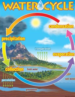 The Water Cycle Chart 17''x22''(43cmx55cm)