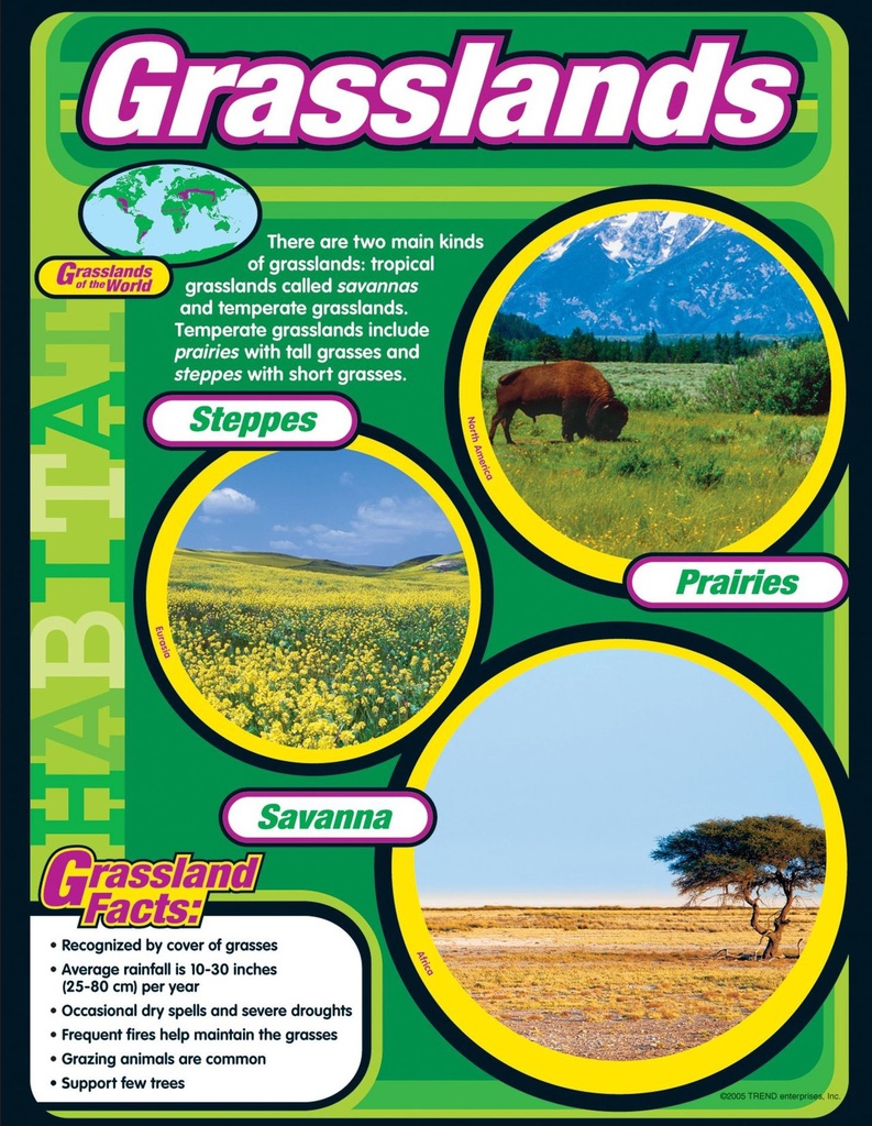 Grasslands Chart (55cmx 43cm)(22''x17'')