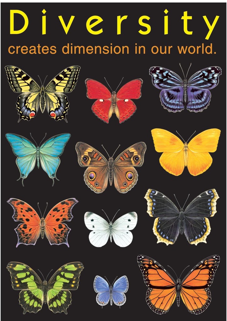 Diversity creates Dimension Poster (13.3''x19''(33.7cmx48cm)