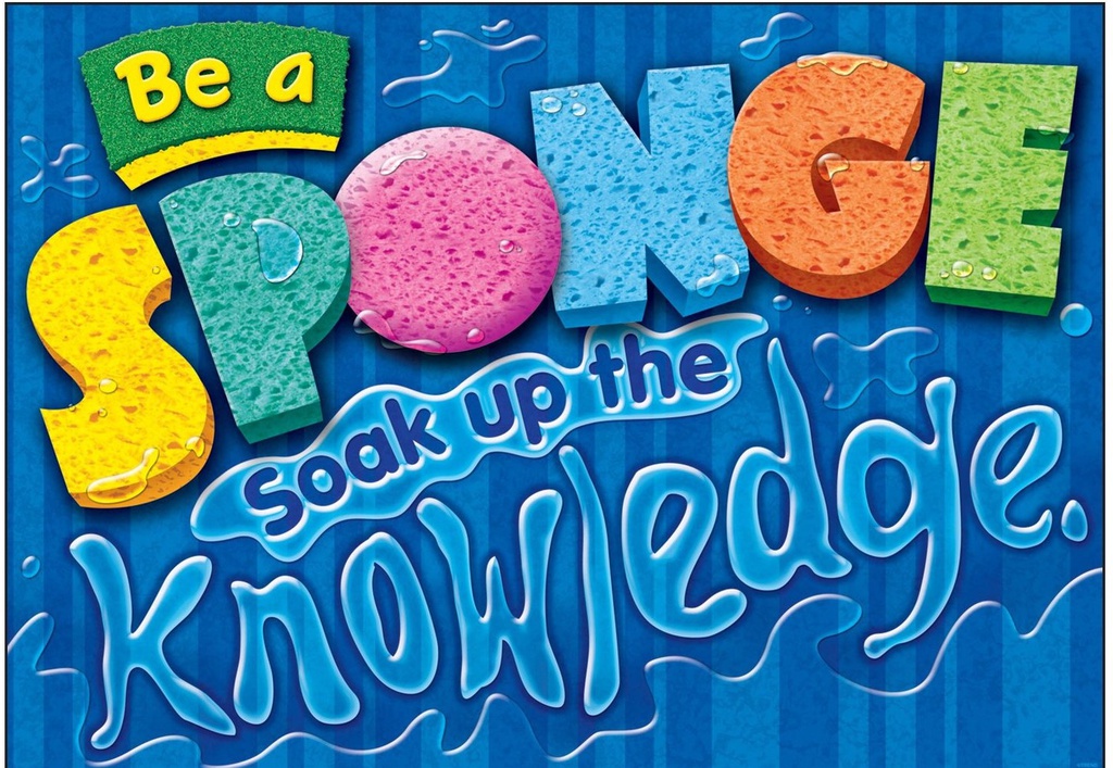 Be a sponge. Soak up the knowledge Poster (13.3''x19''(33.7cmx48cm)