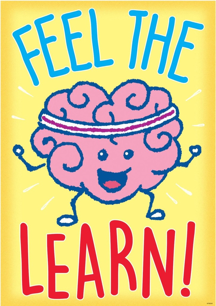 FEEL THE LEARN! Poster (13.3''x19''(33.7cmx48cm)