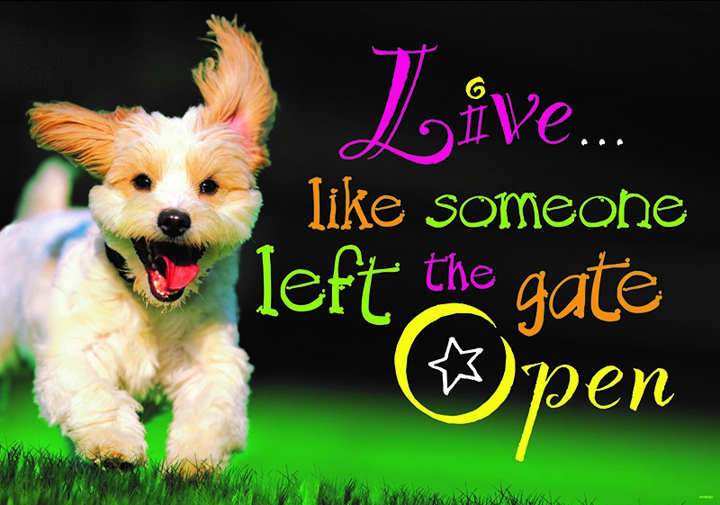 Live like someone left the gate open  Poster (19&quot;x13.3&quot;(48cm x 33.7cm)