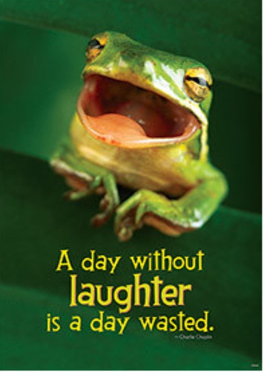 A day without laughter is a day wasted.Poster (48cm x 33.7cm)