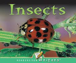 Readers for Writers: Insects (NF) (Gr:kg-1)