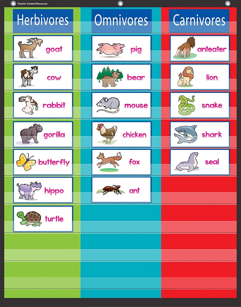 Pocket Chart  3 Column (34'' x 44'')(86.3cmx111.7cm)