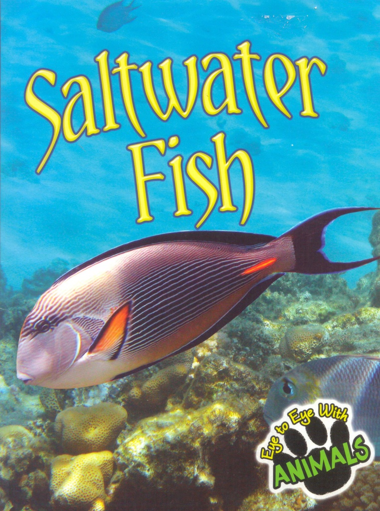 Eye to Eye with Animals: Saltwater Fish (NF) (Gr:2-5)