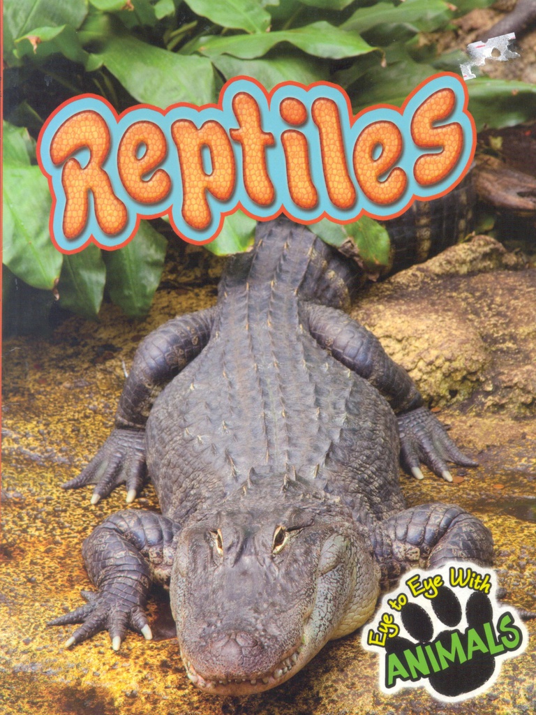 Eye to Eye with Animals: Reptiles (NF) (Gr:2-5)