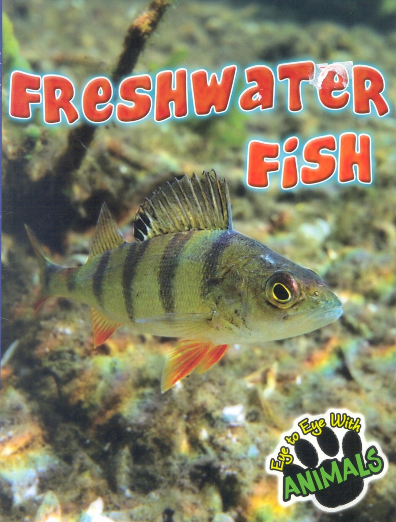 Eye to Eye with Animals: Freshwater Fish (NF) (Gr:2-5)