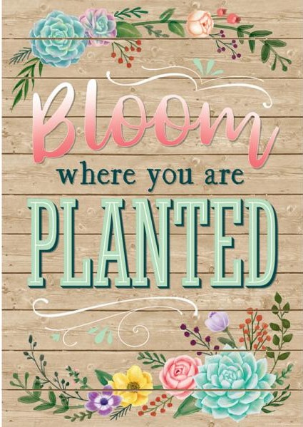 Bloom Where You Are Planted Positive Poster  (13.3''x19''(33.7cmx48cm)