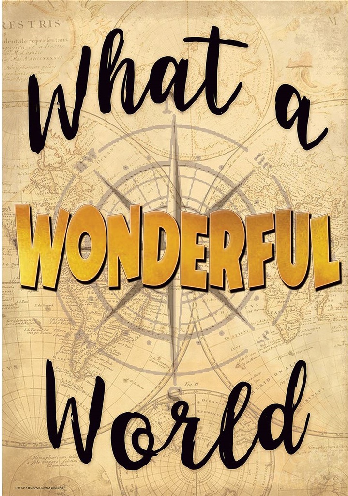 What a Wonderful World Positive Poster 13.3''x19''(33.7cmx48.2cm)