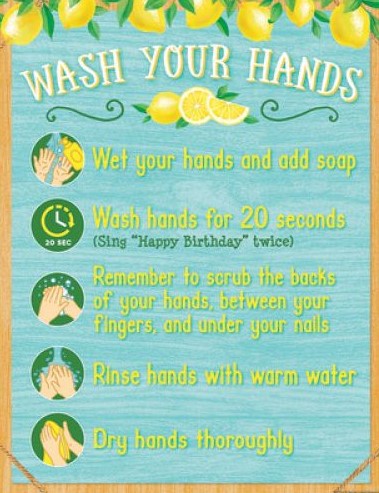 LEMON ZEST WASH YOUR HANDS CHART 17''x22''(43cmx55cm)