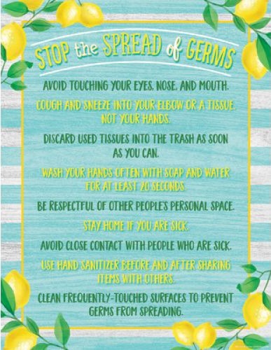 LEMON ZEST STOP THE SPREAD OF GERMS  17''x22''(43cmx55cm)