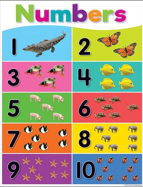 COLORFUL NUMBERS 1-10 CHART (17''x22'')(43cmx55cm)