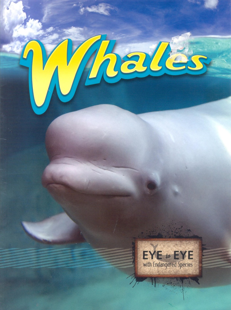 Eye to Eye with Endangered Species: Whales (NF) (Gr:2-5)