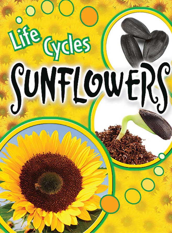 Life Cycles: Sunflowers (NF) (Gr: 1-4)