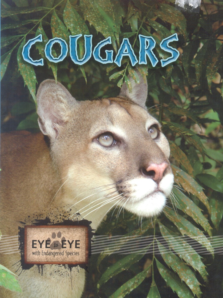 Eye to Eye with Endangered Species: Cougars (NF) (Gr:2-5)