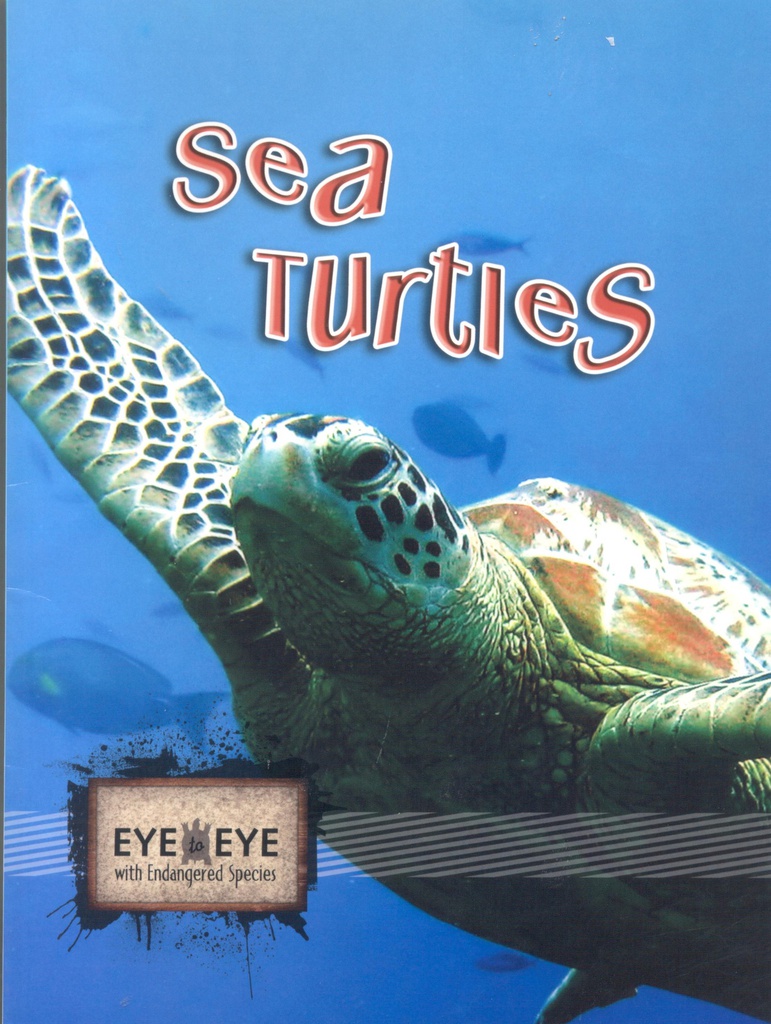 Eye to Eye with Endangered Species: Sea Turtles (NF) (Gr:2-5)