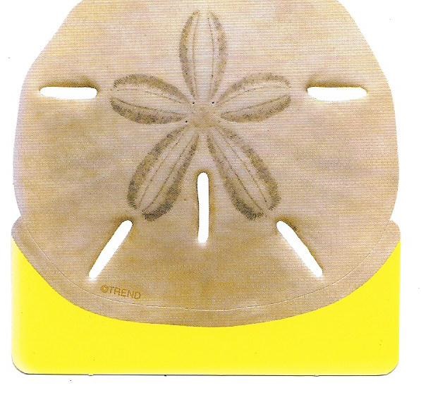 Mini Sand Dollar Mini Accents (3'' (7.5cm) (36 pcs)