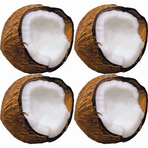 Monkey Mischief™ Coconuts Mini Accent (3''(7.5cm)(36 pcs)