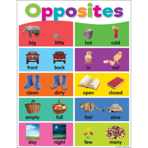 Colorful Opposites Chart 17&quot; x 22&quot; (43cm x 56 cm)