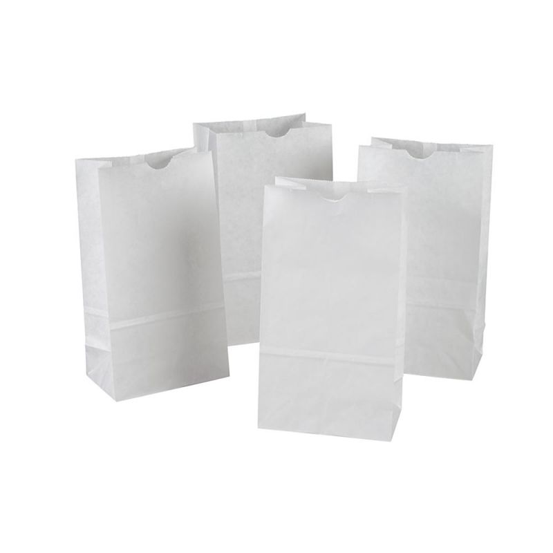 RAINBOW BAGS 6&quot; X 3-5/8&quot; X 11&quot; FLAT BOTTOM WHITE 50CT