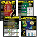 DNA &amp; Heredity Poster Set (43cm x 55.9cm) 4 Posters ( 3 - 7 yrs.old )