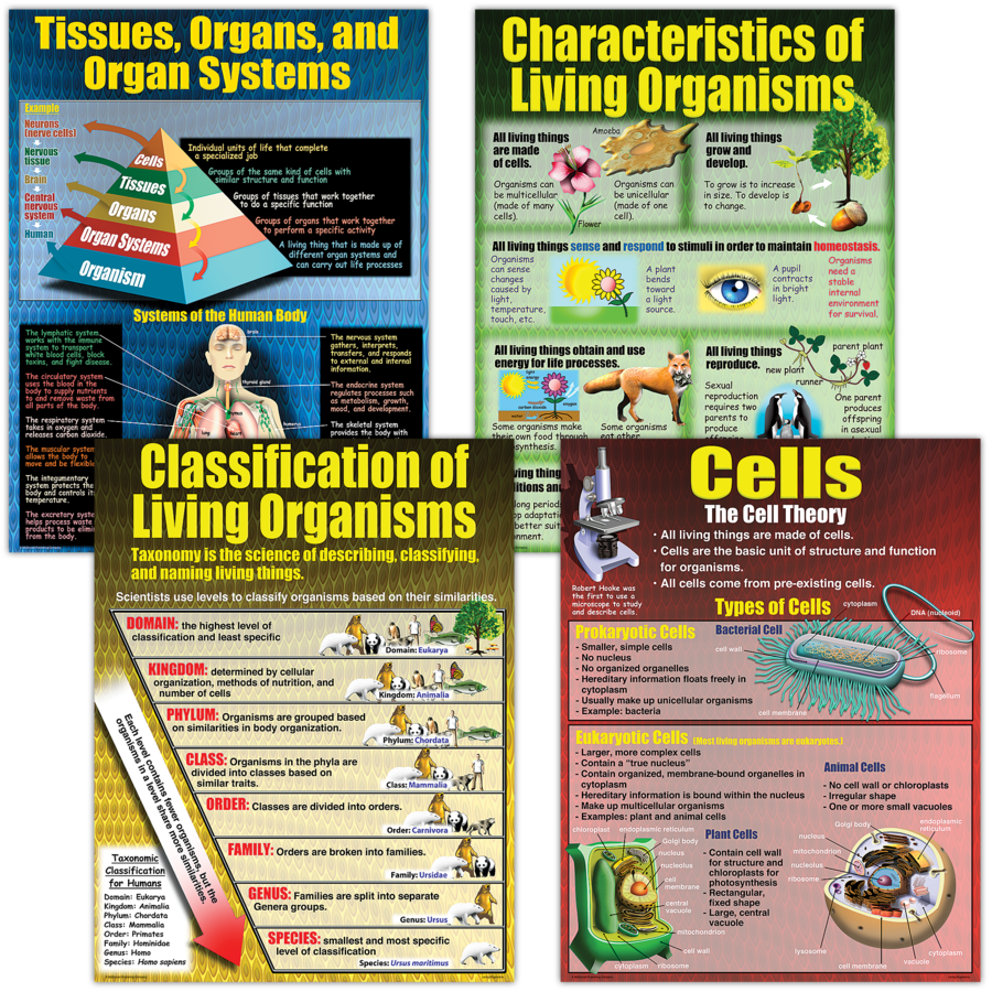 Living Organisms Poster Set (43cm x 55.9cm) 4 Posters