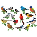 SONGBIRDS MINI SHAPED PUZZLE SET/12 PUZZLES  (500 pc)