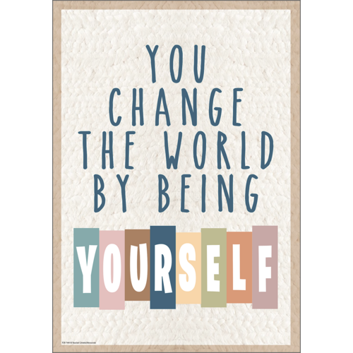 YOU CHANGE THE WORLD POSTER 19&quot;x 13.5&quot; (48cm x 35cm)