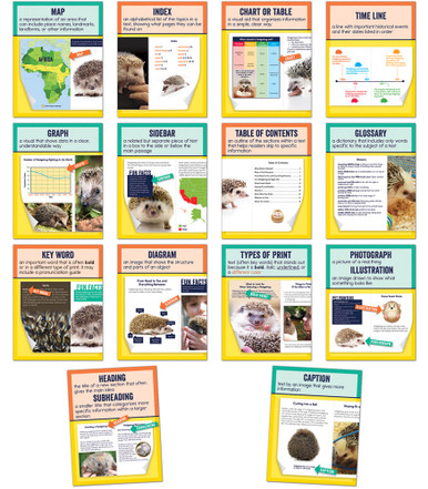 NONFICTION TEXT FEATURES MINI POSTERS  (14pcs)