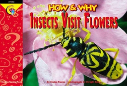 [CTP2964] Insects Visit Flowers (NF) (GR:1-4)(GRL-P)