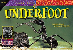 [CTP3002] LOOK ONCE Underfoot (GR:1-4)(GRL-P)