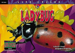 [CTP3063] LIFE CYCLES Ladybug (NF) (GR:1-4)(GRL-P)