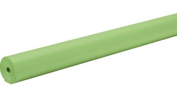 [P0063124] RAINBOW COLORED KRAFT DUO-FINISH PAPER 48&quot;x200' (122cm x 61m) LITE GREEN
