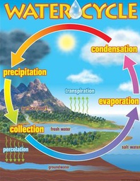 [T38119] The Water Cycle Chart 17''x22''(43cmx55cm)