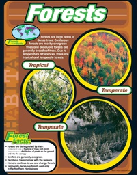 [TX38148] Forests Chart (55cmx 43cm)