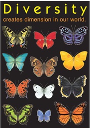 [TA67003] Diversity creates Dimension Poster (13.3''x19''(33.7cmx48cm)