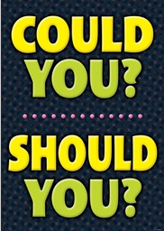 [TA67059] COULD YOU? SHOULD YOU? POSTER (13.3''x19''(33.7cmx48cm)