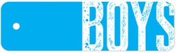 [TNTX10100] PLASTIC HALL PASS BIG TYPE BOYS (20cmx 6cm)(1 pc)